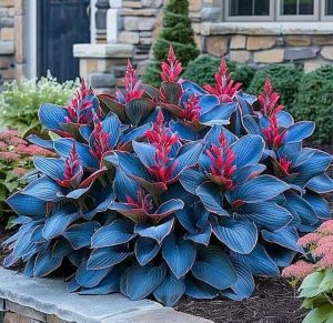 Хоста Грин Фог купить по цене от 669р. в интернет-магазине «Посадика» с доставкой почтой в в Кумертауе и по всей России – [изображение №1].