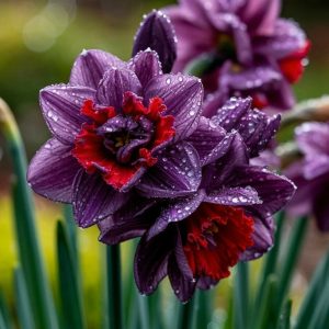 Нарцисс Минт Флер купить по цене от 2000р. в интернет-магазине «Посадика» с доставкой почтой в в Кумертауе и по всей России – [изображение №1].