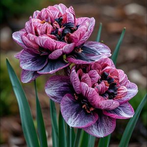 Нарцисс Моргатн Мотив купить по цене от 2000р. в интернет-магазине «Посадика» с доставкой почтой в в Кумертауе и по всей России – [изображение №1].