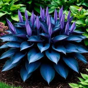 Хоста Сикрет Гров купить по цене от 570р. в интернет-магазине «Посадика» с доставкой почтой в в Кумертауе и по всей России – [изображение №1].